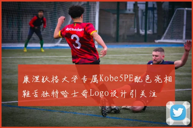 康涅狄格大学专属Kobe5PE配色亮相鞋舌独特哈士奇Logo设计引关注