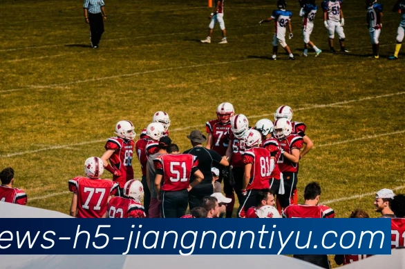 江南体育平台生态图